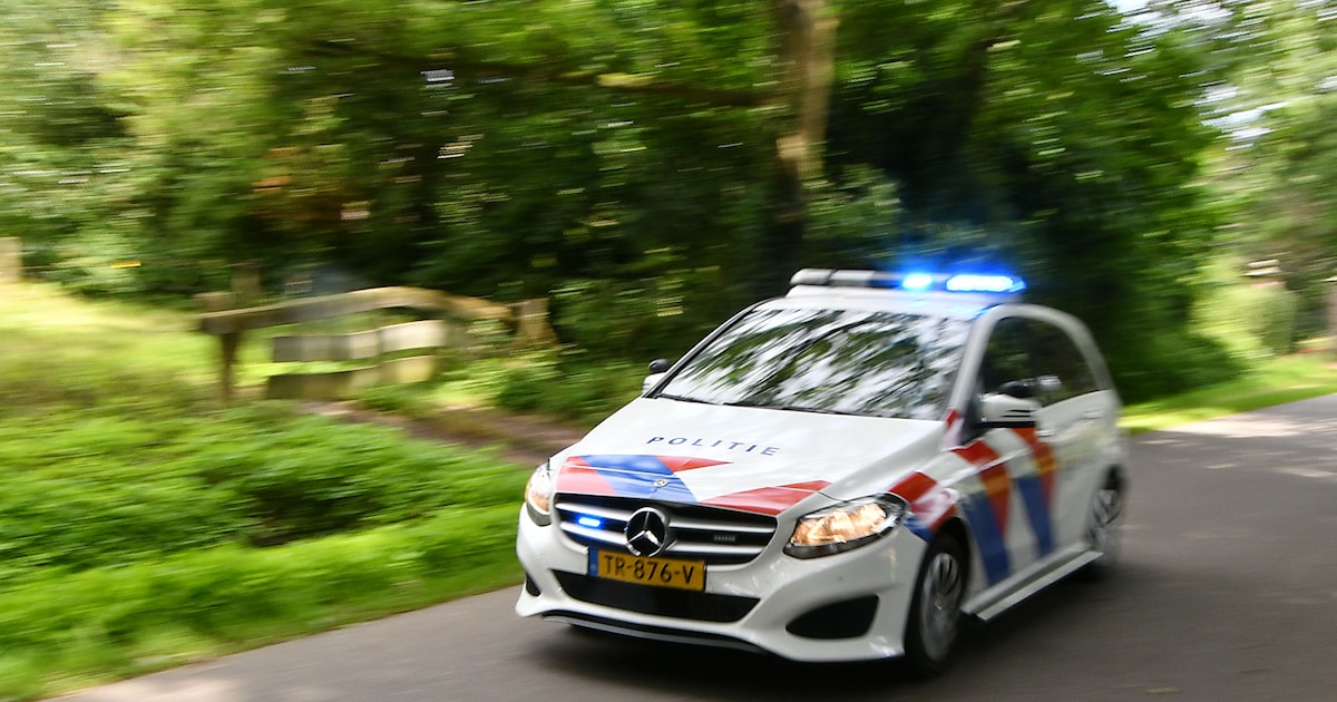 2500 bomen gestolen bij kwekerij in Wernhout, sommige zijn een meter