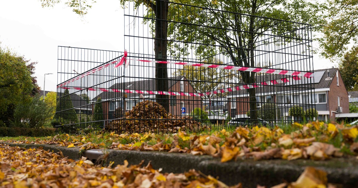 Laatste ronde voor bladophaaldienst na opruimen bladkorven Bergeijk