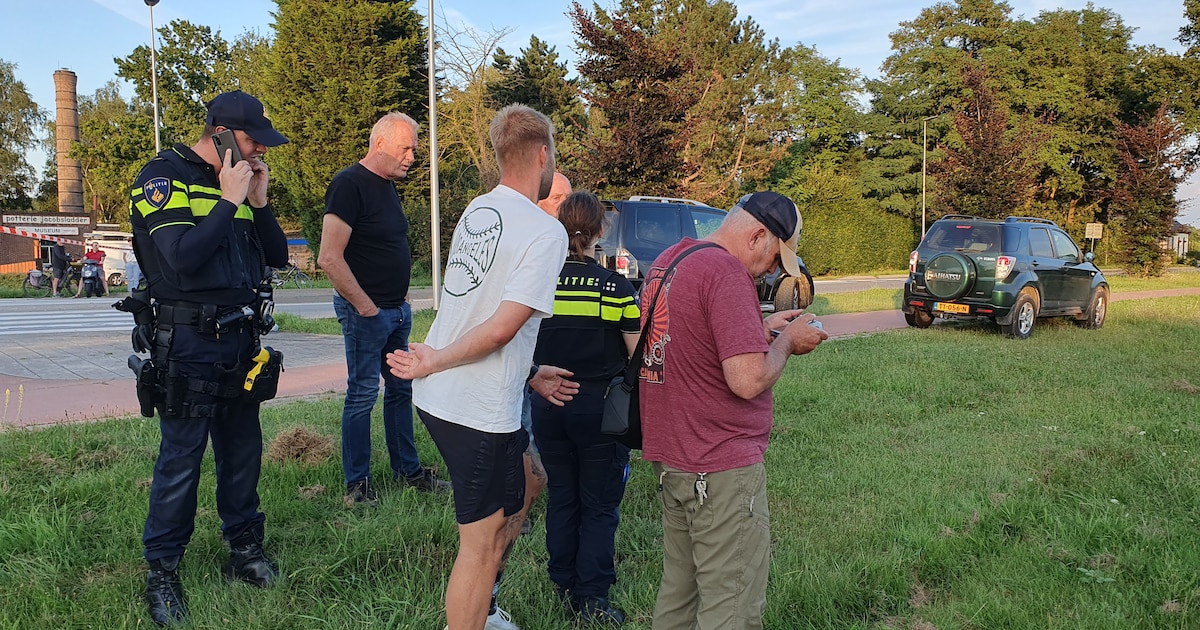 Edelherten ontsnapt in Milsbeek, jagers mogen de beesten afschieten