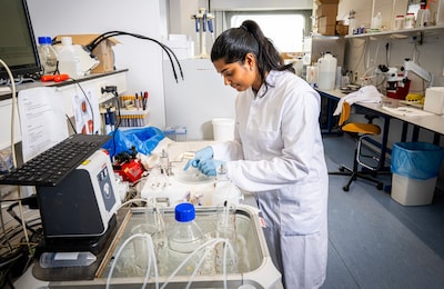 Onderzoekers waarschuwen zwangere vrouwen: ‘natuurlijk’ wiet-middeltje blijkt schadelijk