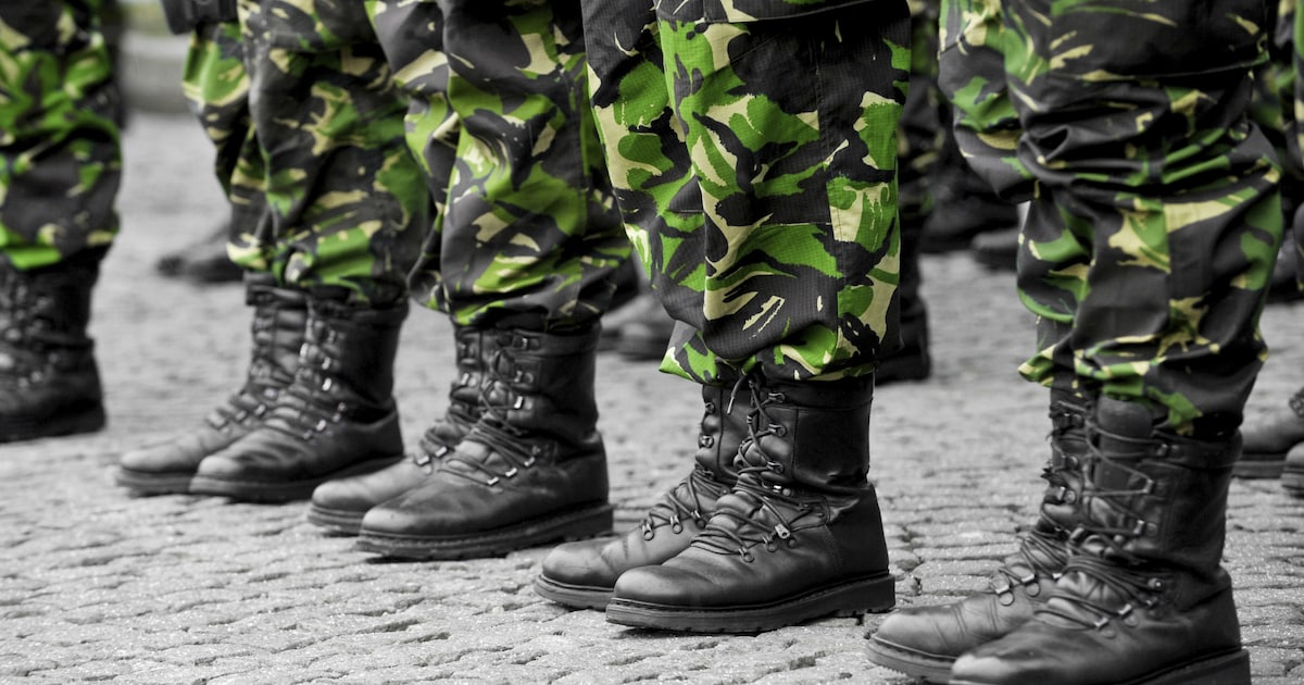 Militaire oefening in Maashorst