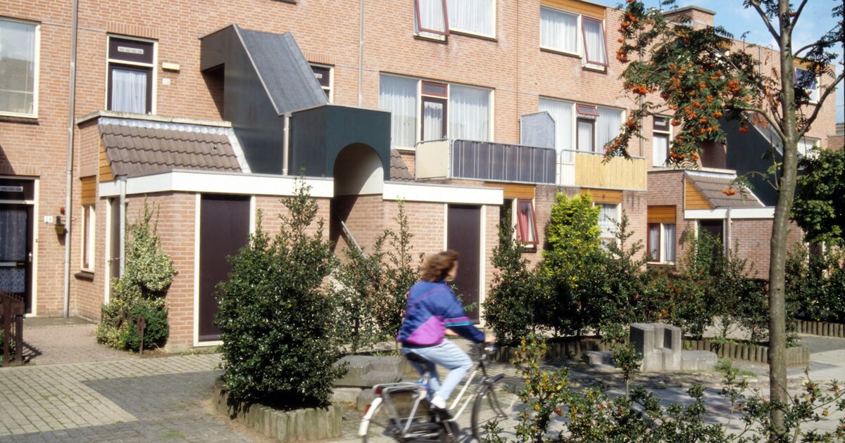 Arnhem heeft meerdere bloemkoolwijken: dit betekent het