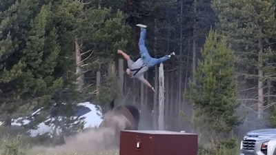 Man lucht in geslingerd door bizon in Yellowstone National Park: ‘Wist niet dat dit ging gebeuren’