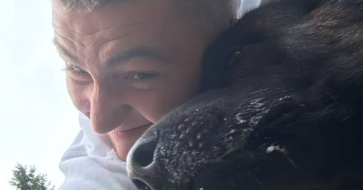 Hond Mart Hoogkamer gewond aan achterpoot na aanrijding.