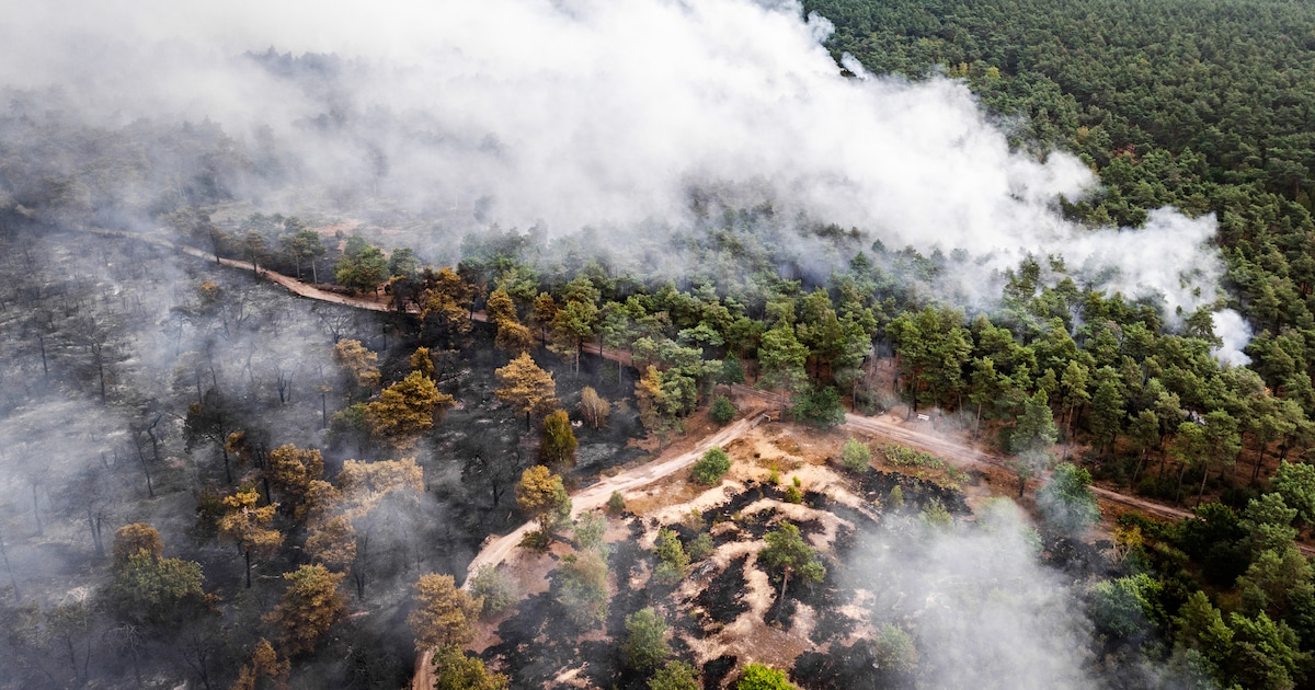 Natuurbrand Noord-Limburg flink uitgebreid tot gebied van 100 hectare, NL-Alert blijft van kracht