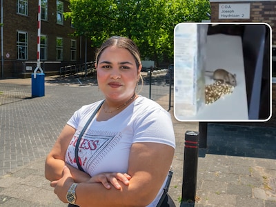 Statushouder Zahraa (22) geschokt over ernstige overlast van kakkerlakken, muizen en ratten in azc: 