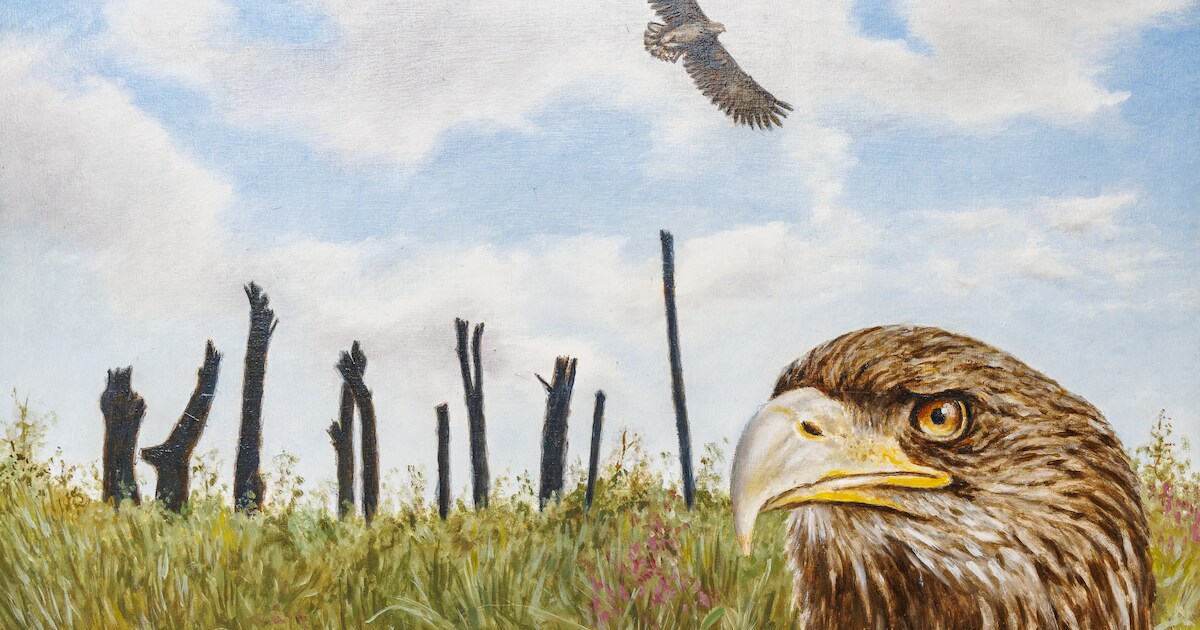 Een supergewild kunstwerk? Nou nee: veiling voor het goede doel flopt ...