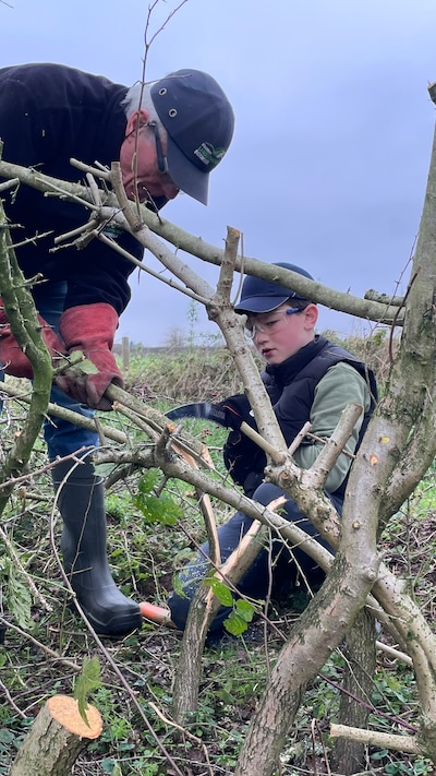 Samen heggen vlechten in Maasheggen bij Vortum-Mullem tijdens kerstvakantie
