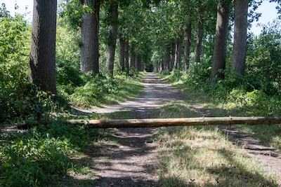 Populaire wandelroute Termatenpad hele zomer dicht door gevaarlijke situatie: ‘Weten niet of het ooi
