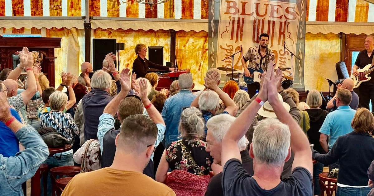 Genieten van blues op het fruitbedrijf van Erik Vernooij in Cothen