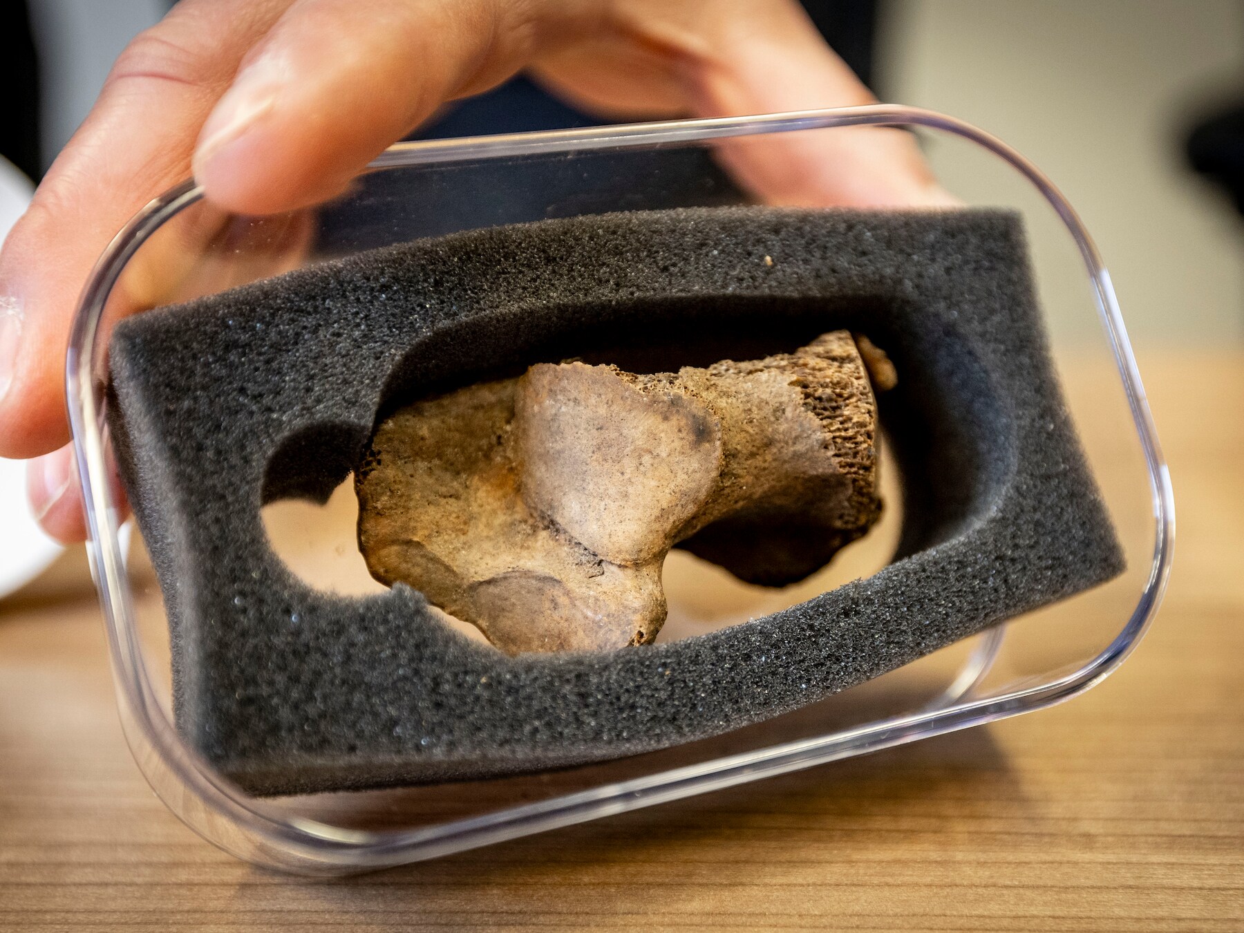 Laatste rustplaats voor eeuwenoud bot van mogelijk ‘oudste Enschedeër’