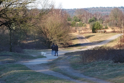 Temperaturen zaterdag boven de 10 graden, maar blijft de zachtheid?