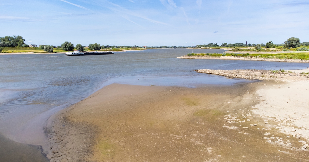 Rijkswaterstaat extra waakzaam: Rijn zakt richting historisch lage afvoer van 800 kubieke meter per 