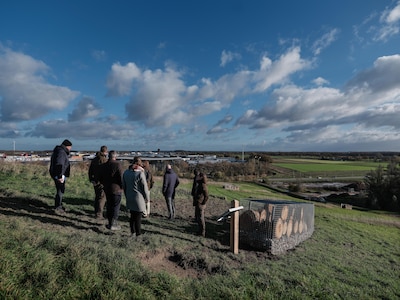 Eerst een stortplaats, nu een natuurgebied: de ‘bult van Putman’ heeft nu ook een wandelpad, insecte