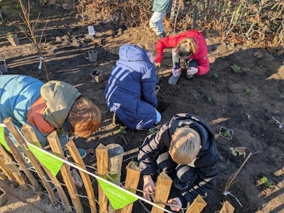 Kinderen planten smaaktuintje in Doetinchem