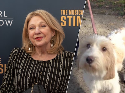 Janny van der Heijden adopteert hondje na verlies van viervoeter Nhaan: 'Was meteen verliefd'