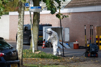 Twee Aziatische hoornaarnesten vernietigd in Doetinchem maar zorg blijft: ‘Hoe gaat het volgend jaar?’
