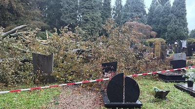 LIVE storm Austen| Zaterdag veel regen en harde wind: vanavond meer dan 10 millimeter neerslag, aan de kust windkracht 8