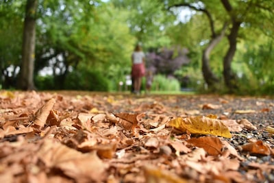 Zon of regen? Dit is de weersverwachting voor oktober in Arnhem
