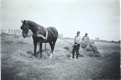 Je denkt dat jouw schoonfamilie erg is? Wacht tot je hoort wat Jan in 1848 overkwam