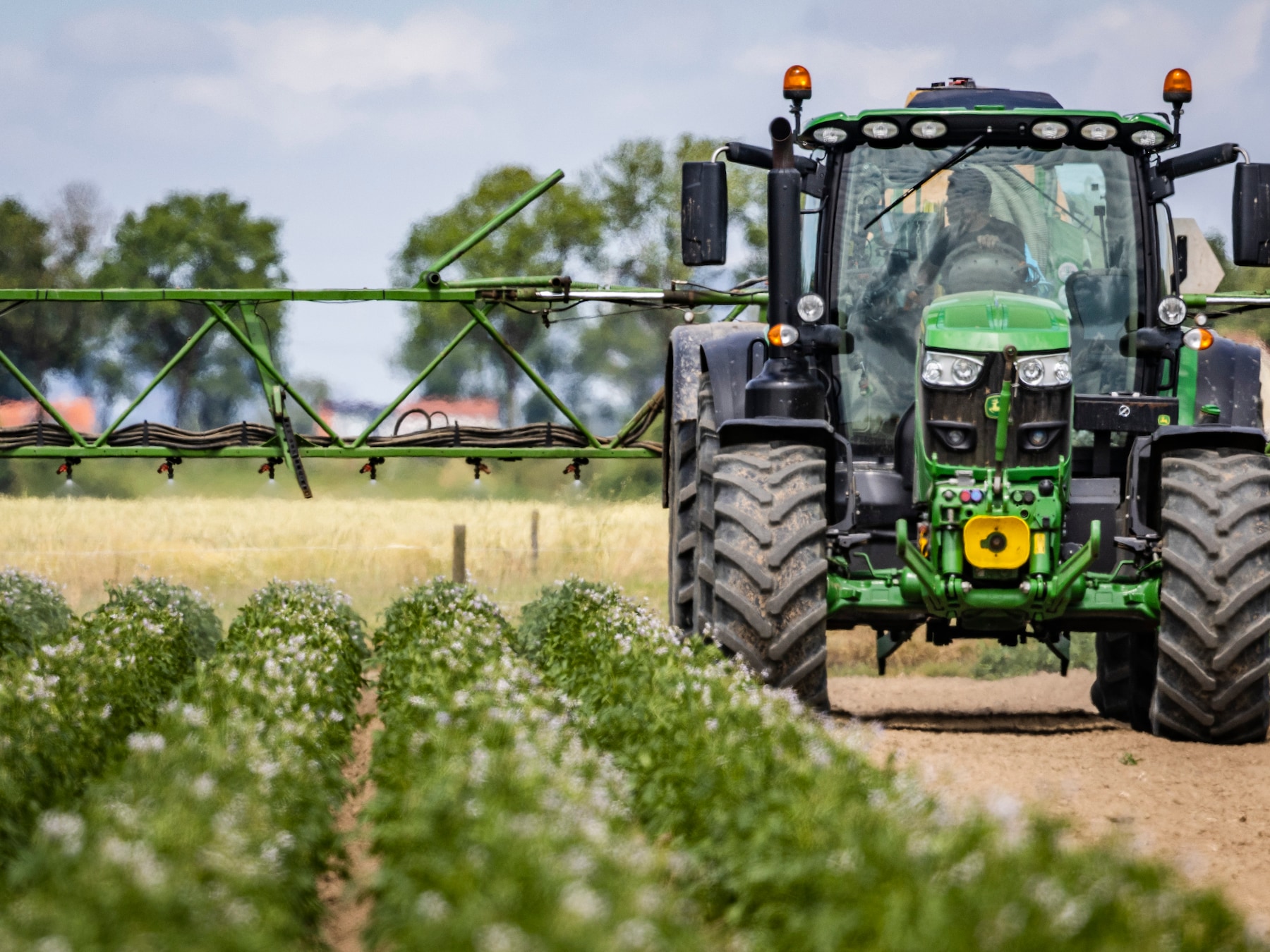 Foto ter illustratie.