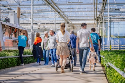 Acht glastuinbouwbedrijven openen deuren in regio Arnhem/Nijmegen