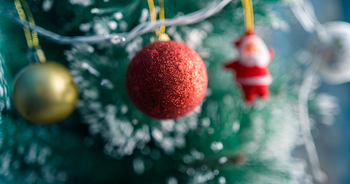 Geen huis-aan-huisinzameling kerstbomen in Bernheze, wel brenglocaties
