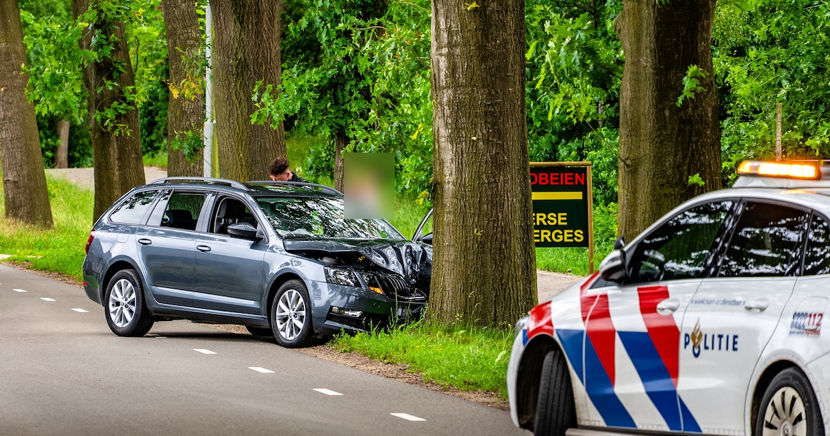 Auto botst frontaal tegen boom aan Heumenseweg in Wijchen