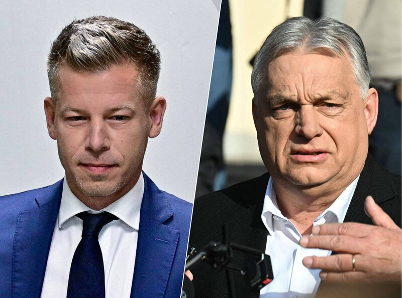 Hongaarse premier Orbán strijdvaardig op cruciale verkiezingsdag, rivaal  Magyar opent meldpunt kiesfraude | Nieuws | De Gelderlander.nl