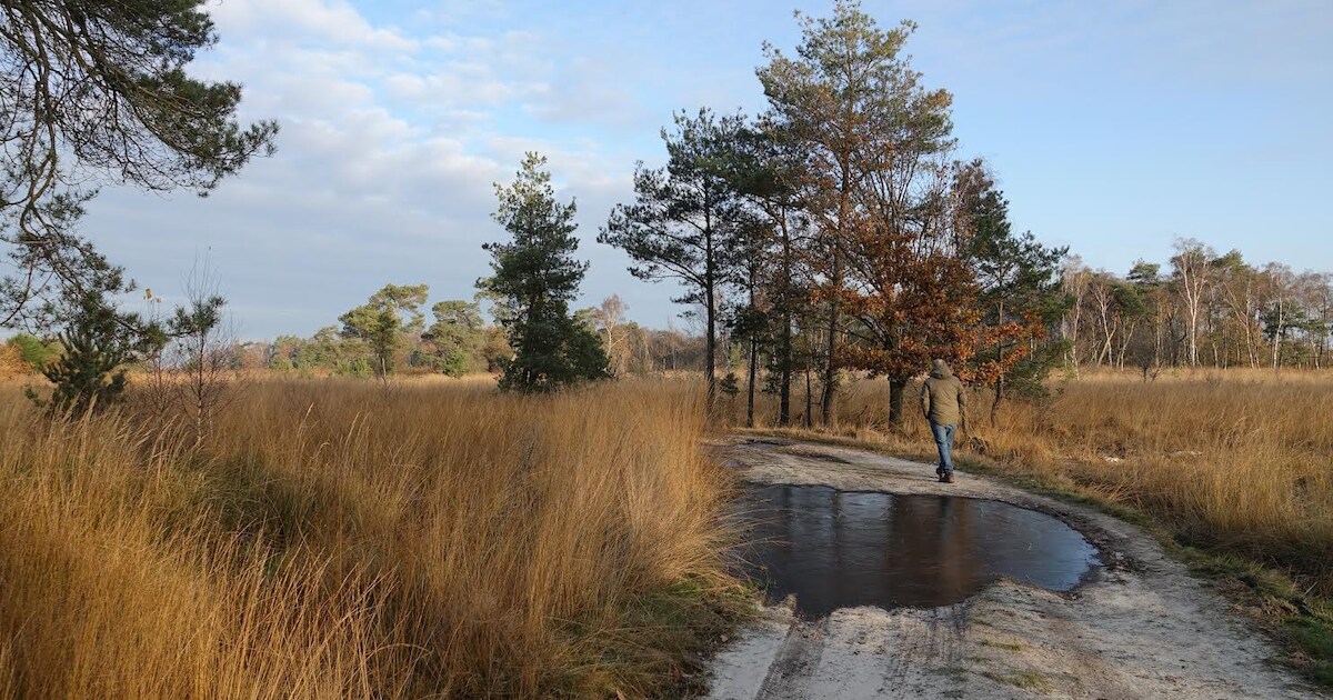 Haffel speelt op Peelpodium in Ospel