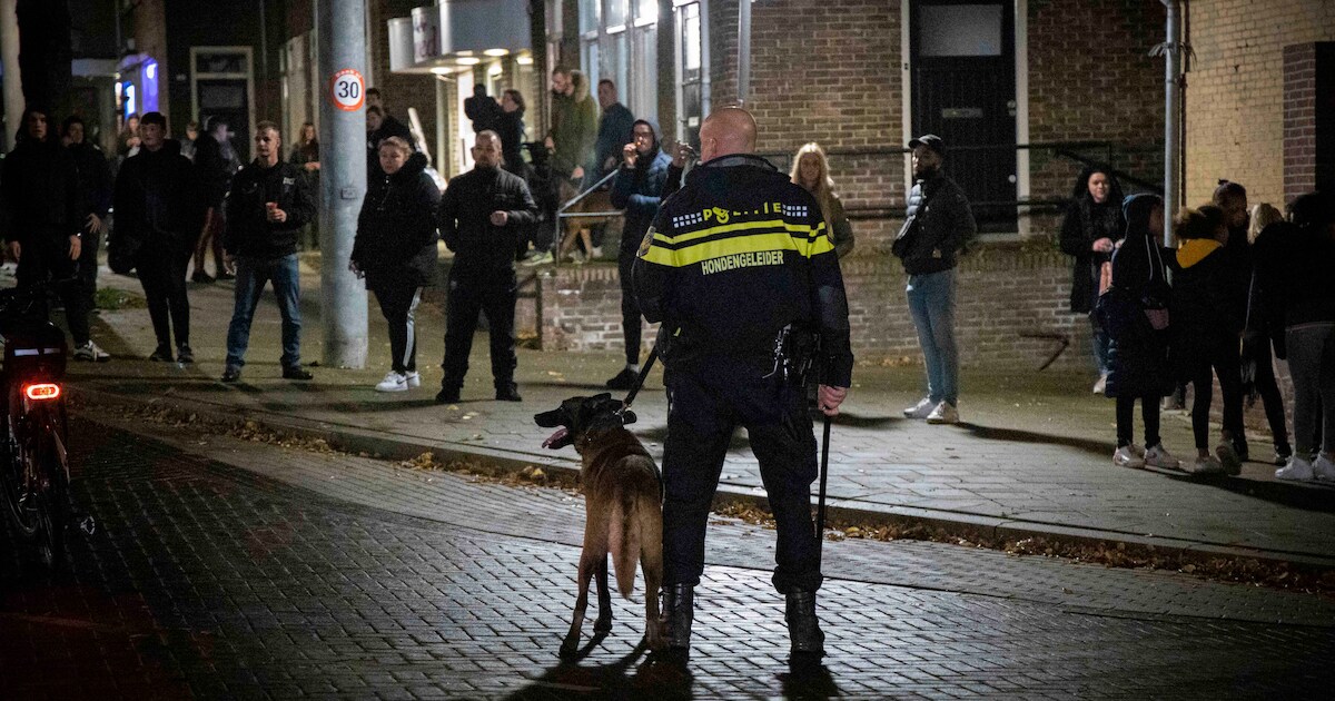 www.gelderlander.nl