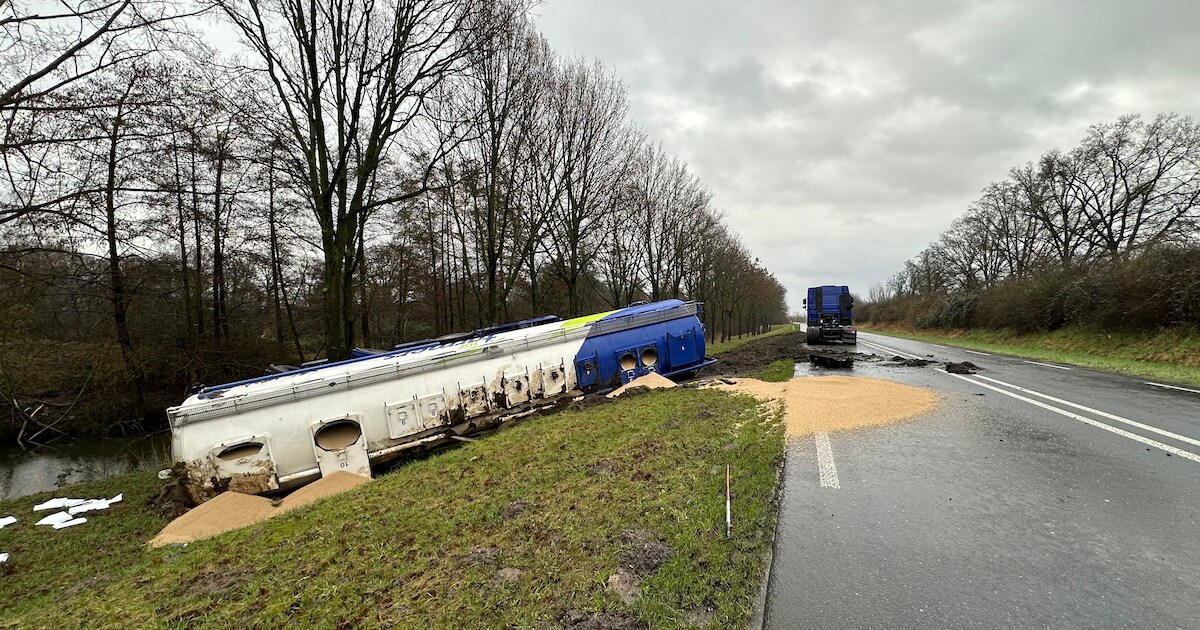 Cobee 100 mm blikdeksels voor honden- en kattenvoer, 6 stuks herbruikbare verzegelde voedselblikhozen