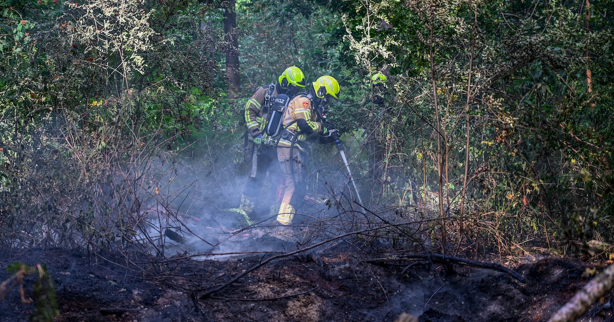 Bosbrand aan Kadinskypad in Malden