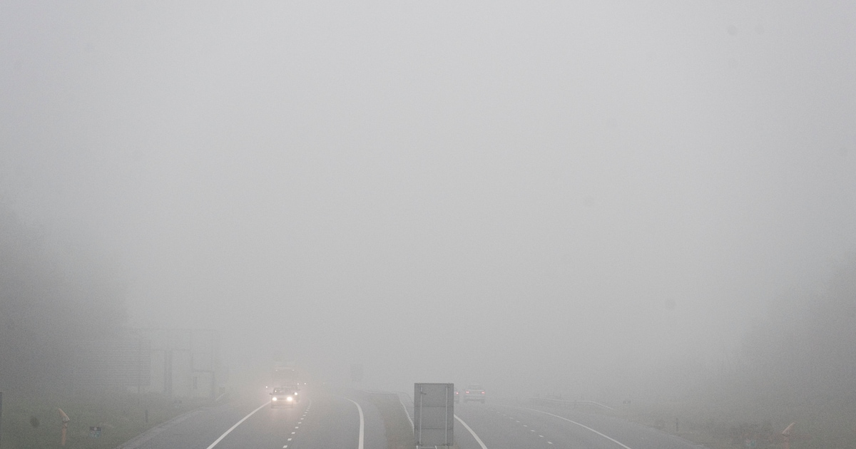 Code geel in Brabant vanwege dichte mist: kans op verraderlijke ...