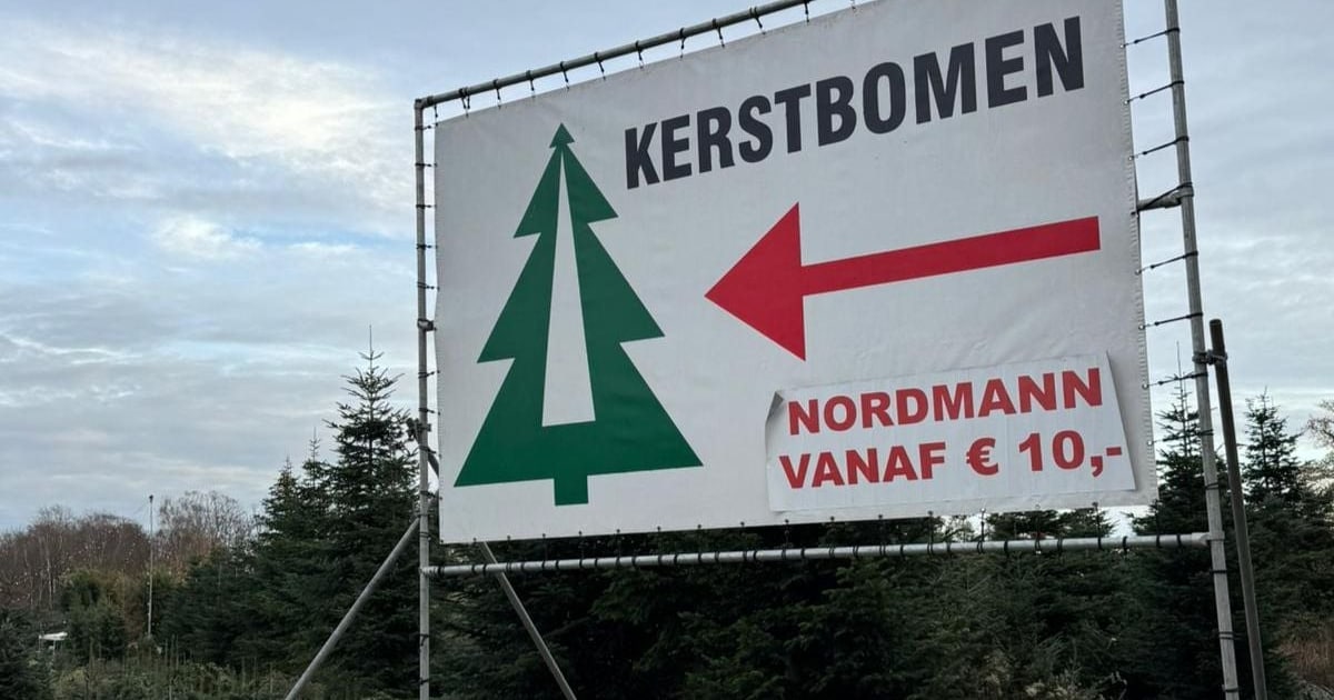 Kerstboom scoren? Hier in Hengelo kan je er eentje kopen