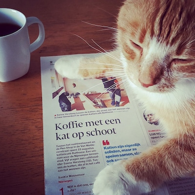 Jouw mening telt, draag bij aan het verbeteren van onze webs