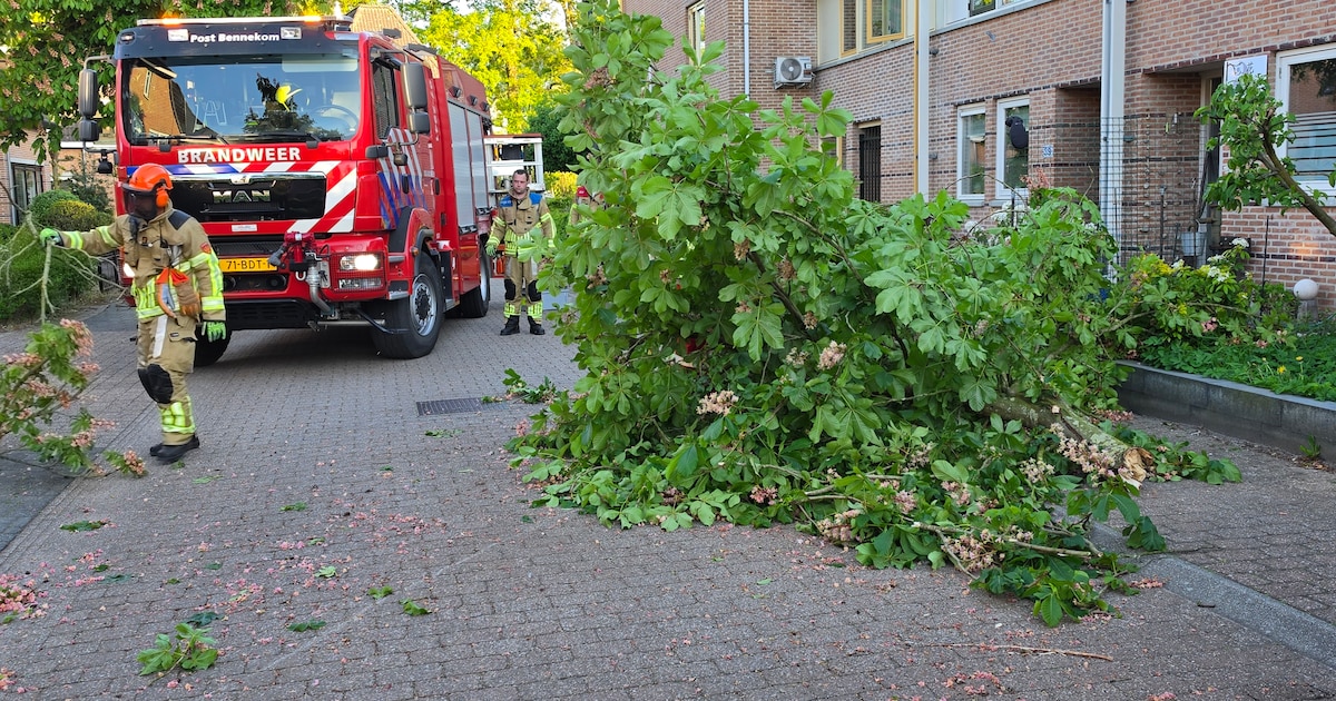 Afgebroken tak valt op auto in Bennekom, brandweer ruimt op
