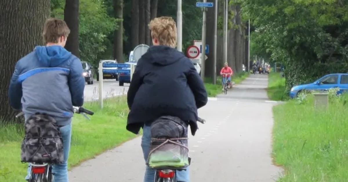 Bomen door speciale constructie gespaard langs N348, weg dicht voor inspectie