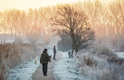 Gladheid en mist zorgen voor ongevallen, code geel nu opgeheven