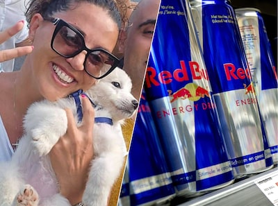 Eigenaar dwingt hondje Red Bull te drinken in Italië, Nederlandse toeristen voorkomen erger