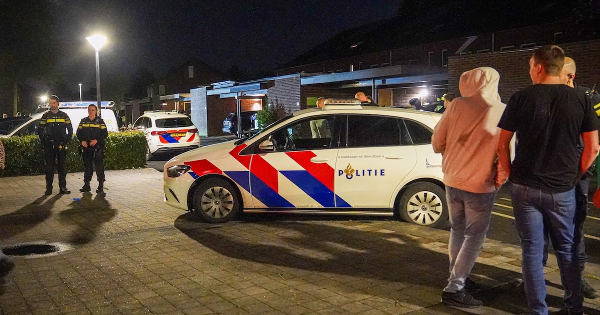 Politie massaal aanwezig na vechtpartij in Zutphen: ‘Lichtgewonden’