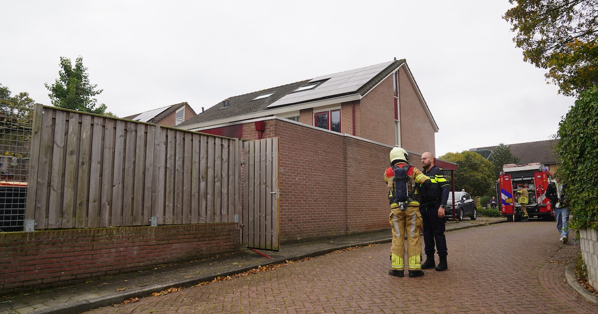Vlam slaat in de pan bij frituren vettaartjes voor vogels: flinke schade door rook in garage