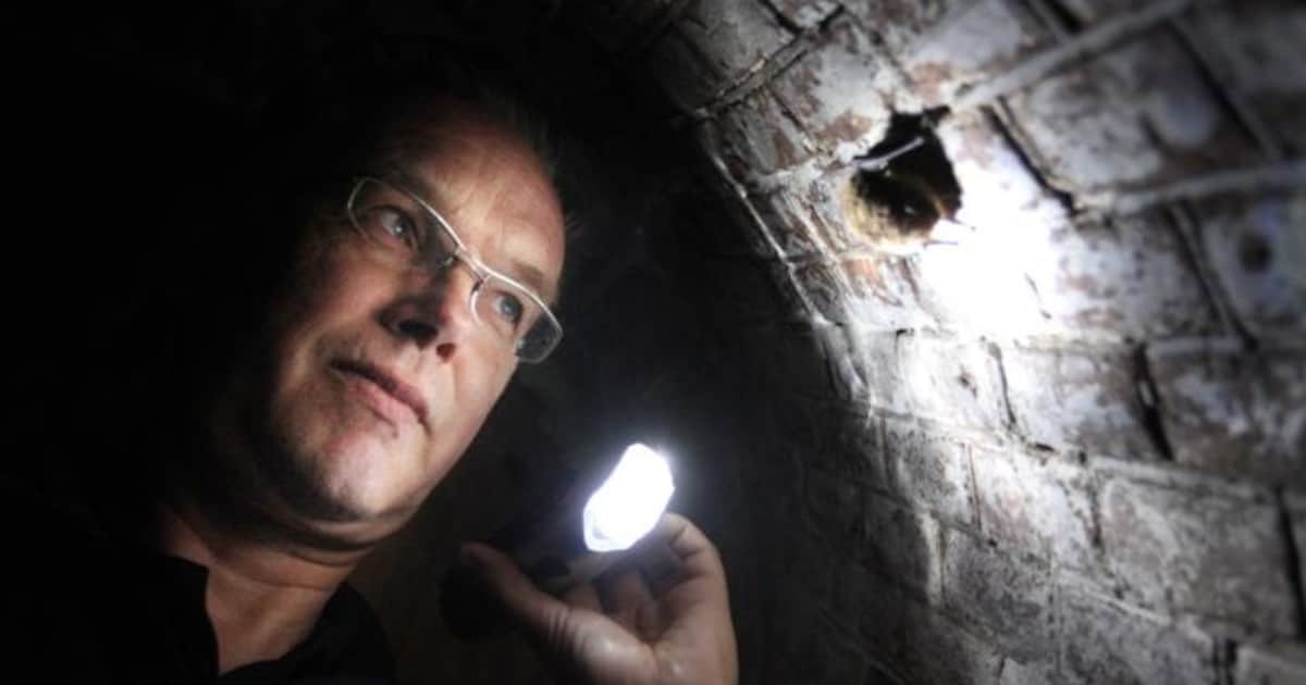 Op visite bij de vleermuizen van fort Asperen