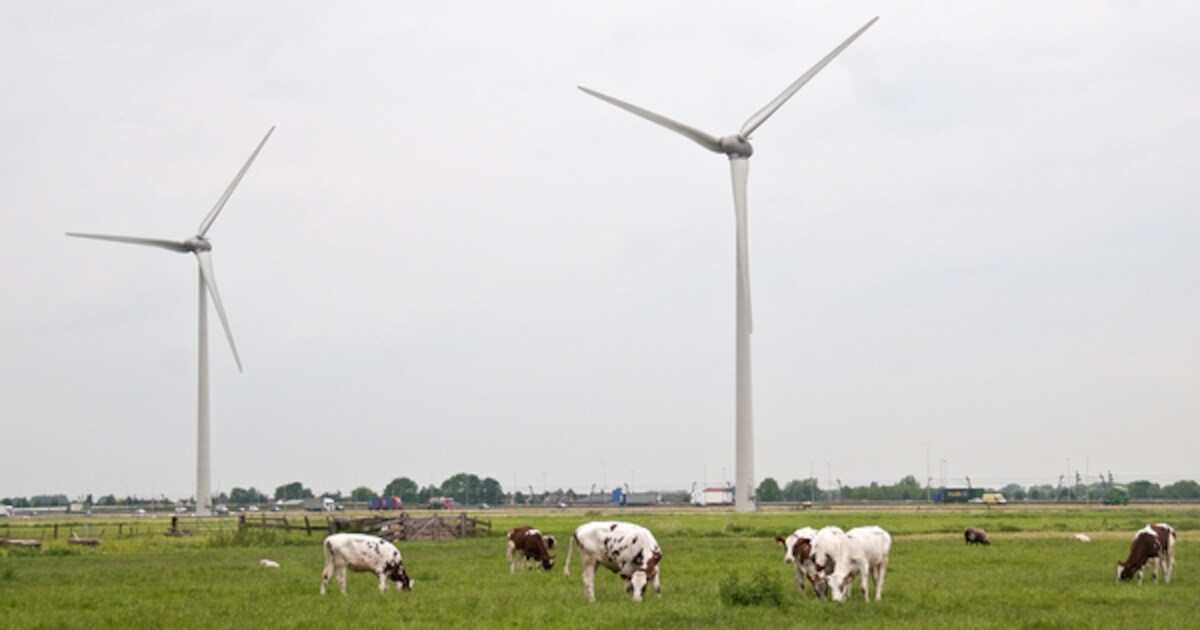 Verkeershinder Geldermalsen en Buurmalsen bij aanleg elektriciteitskabel