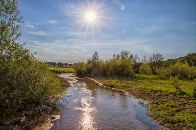 2025 uitzonderlijk droog: derde droogste jaar van deze eeuw