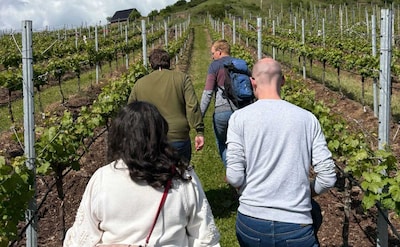 Lekker weg in eigen land: bezoek binnenkort een wijngaard in de buurt van Ede