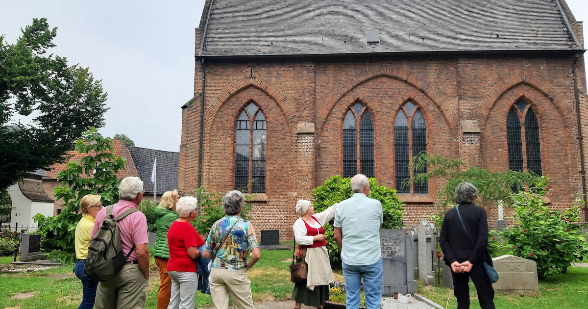 Stadsmuseum Bergh biedt gratis toegang voor afscheid