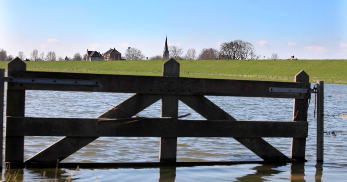 'Ieder café komt sowieso aan de beurt'