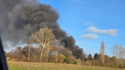 Grote brand in Halle: veel rook, ‘honden in veiligheid gebracht’