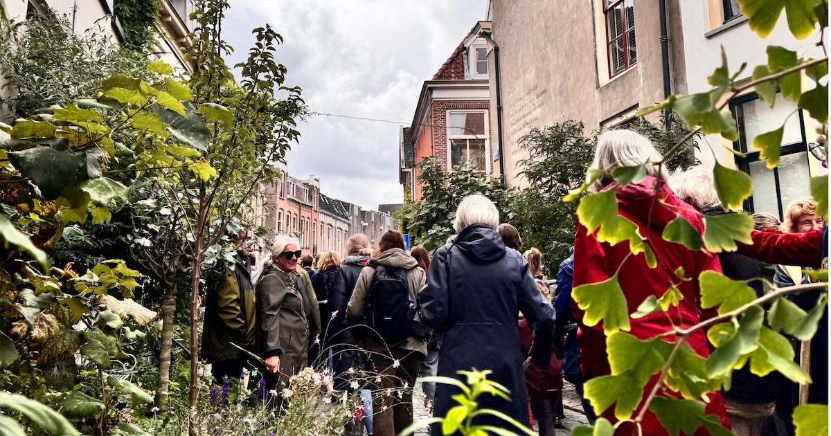 Historische stadswandelingen in Zutphen tijdens weekend van verdedigingserfgoed